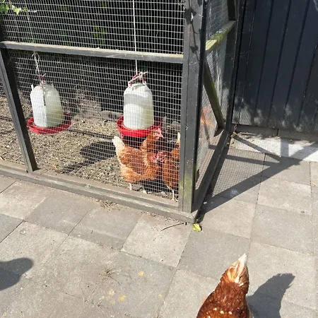 House I The Back House - Free Parking And Coziness Apartament *